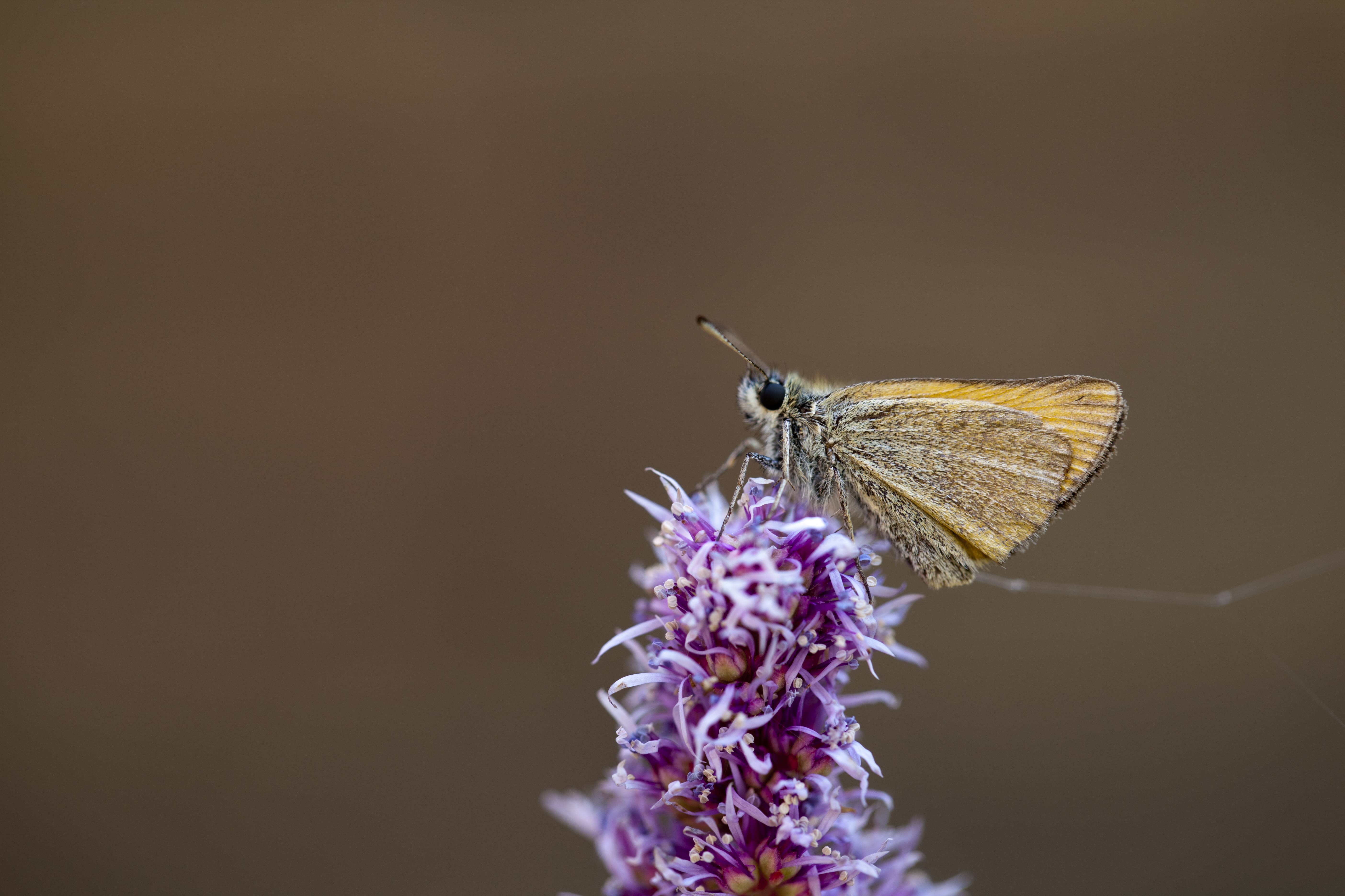 Henk Bosma. 19-08-2012