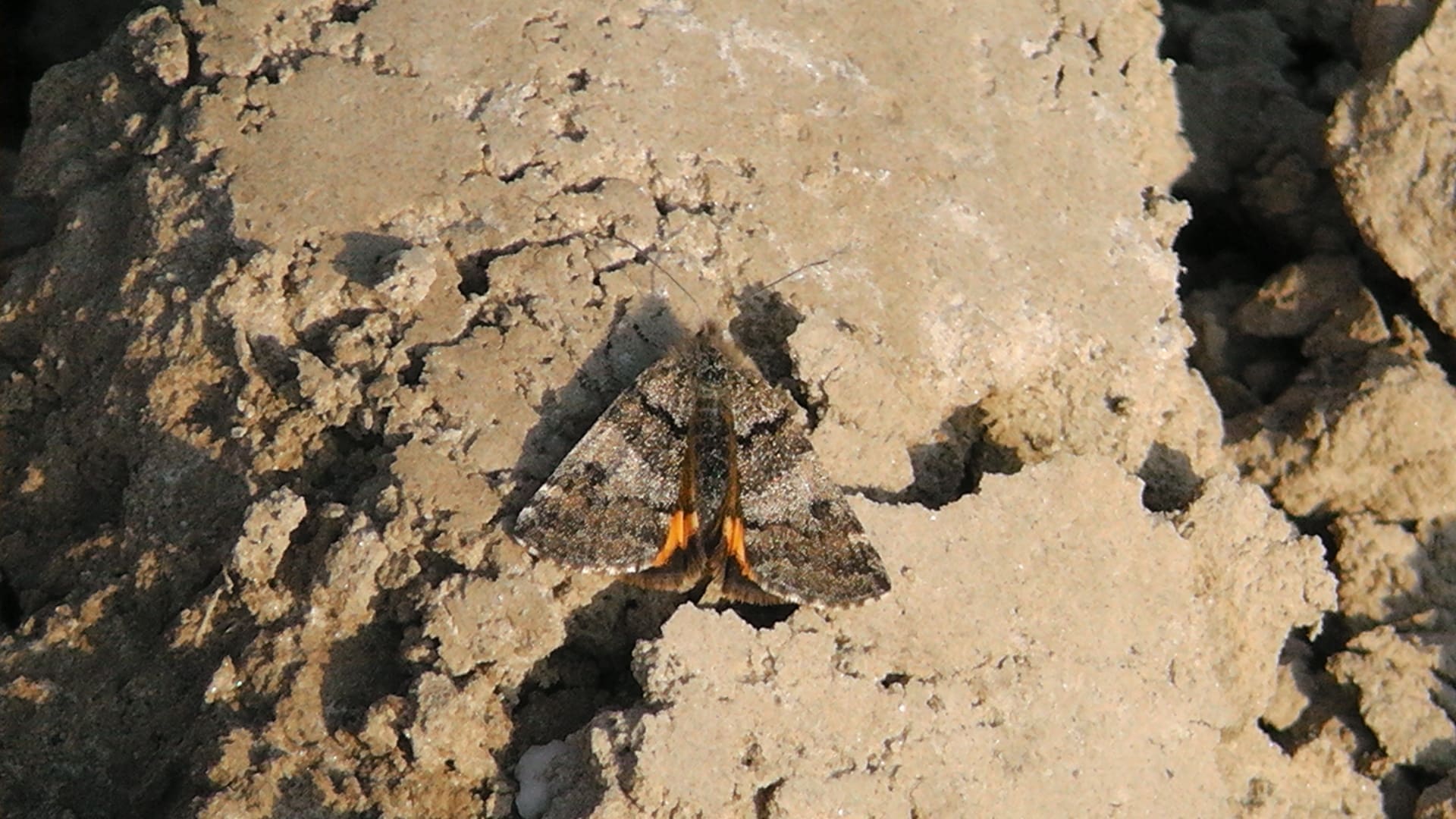 Matthias Peetermans, België, 23 maart 2012