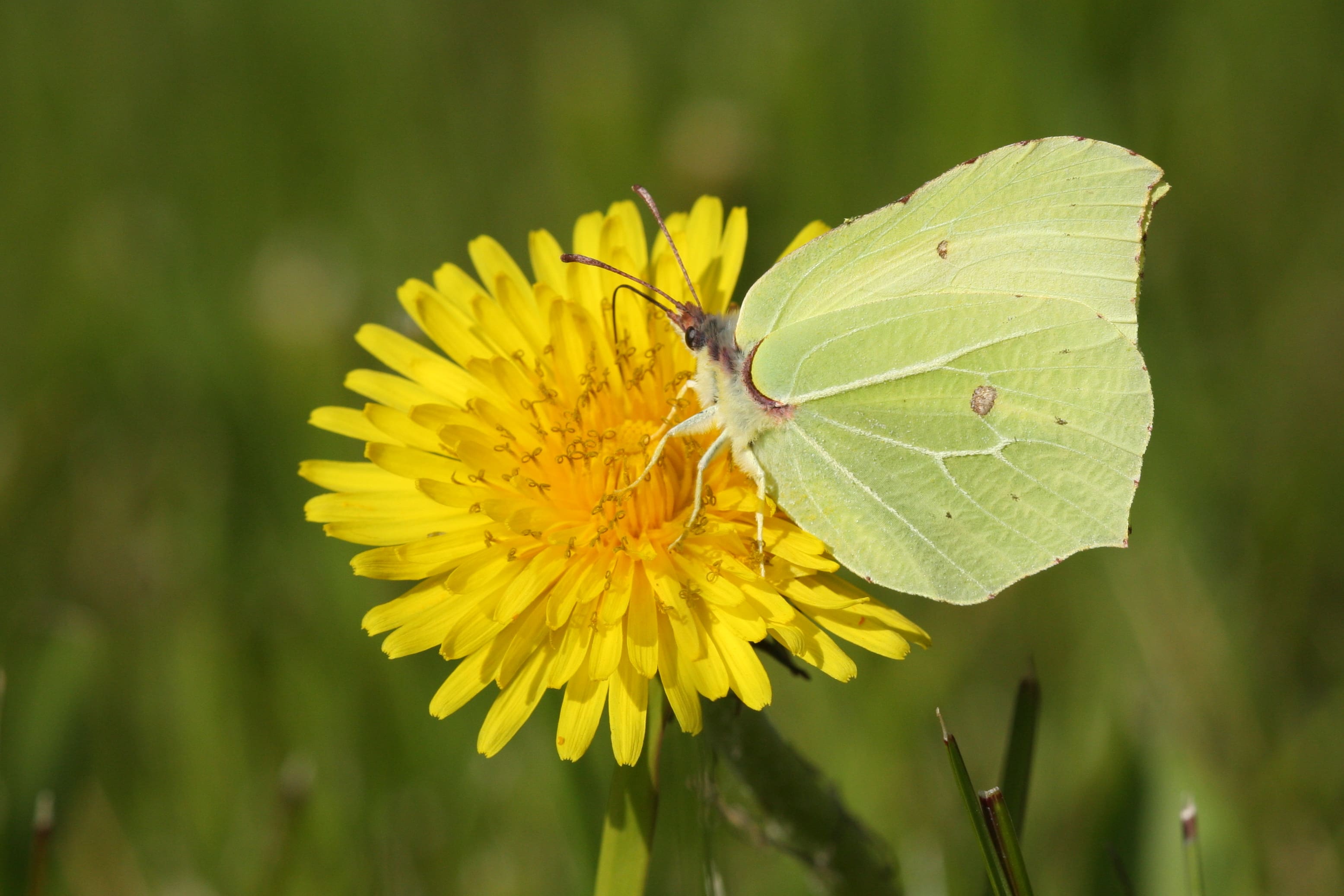 Ruben Stam, Oude Leede, 18 april 2010