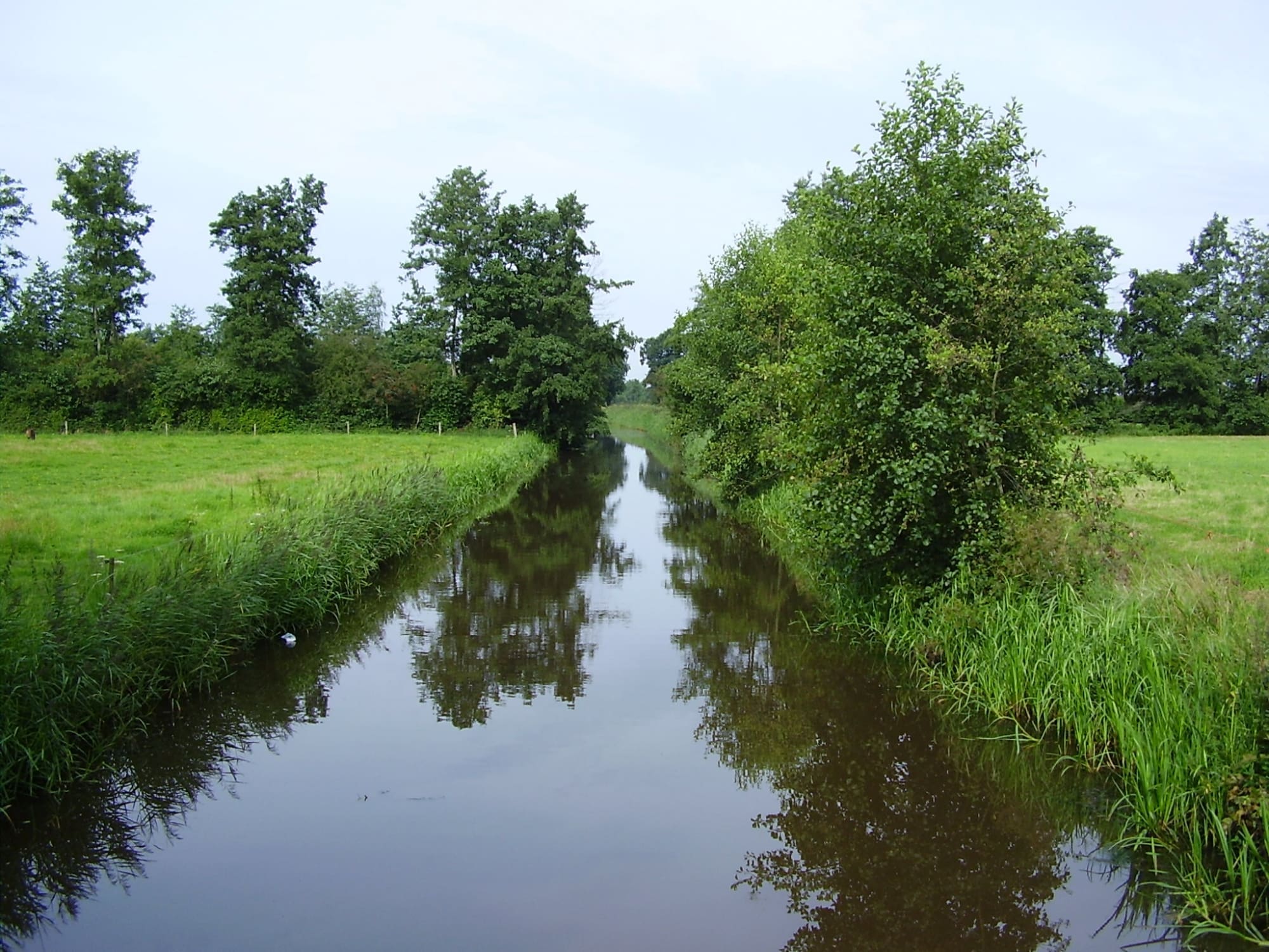 Sloot - Vlinderstichting