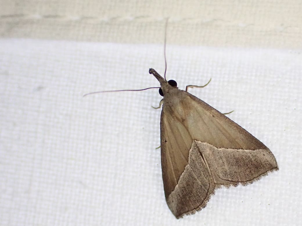 Dick Groenendijk, Nationaal Park Zuid-Kennemerland, 5 september 2023